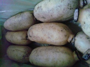 SH3K0306